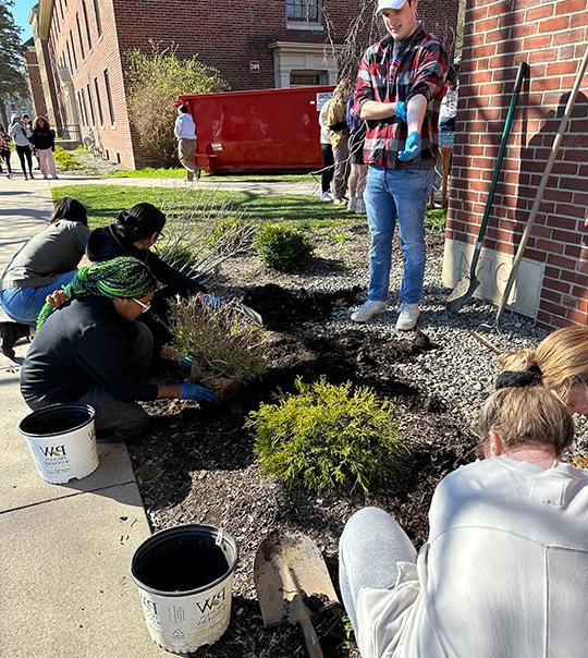students planting bushes, shrubs in front of building